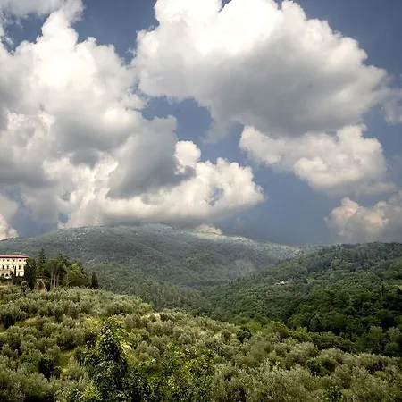 Hotel Pitiana 4*